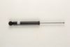 BILSTEIN 19-151069 Shock Absorber